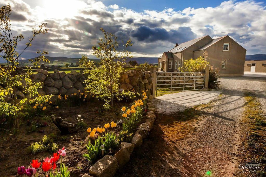 Samona Bed & Breakfast Kilkeel Exterior photo